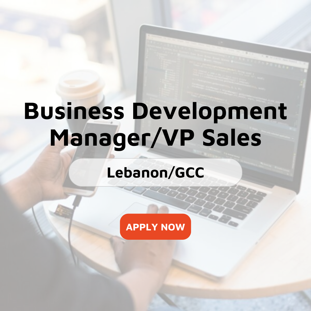 Business Development Manager/VP Sales