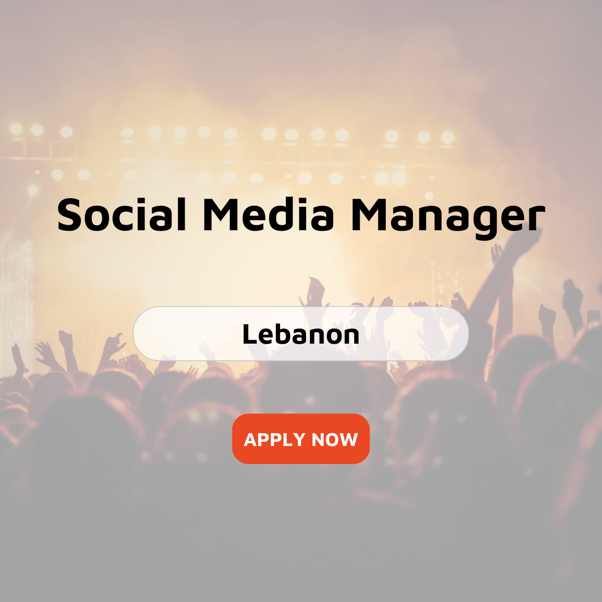 Social Media Manager