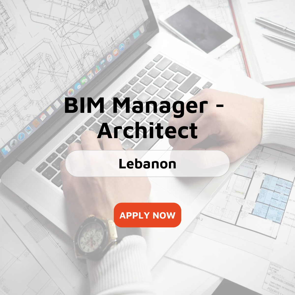 BIM Manager - Architect