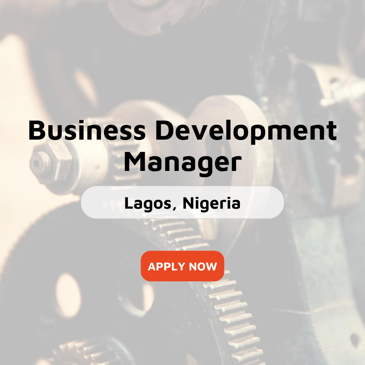 Business Development Manager