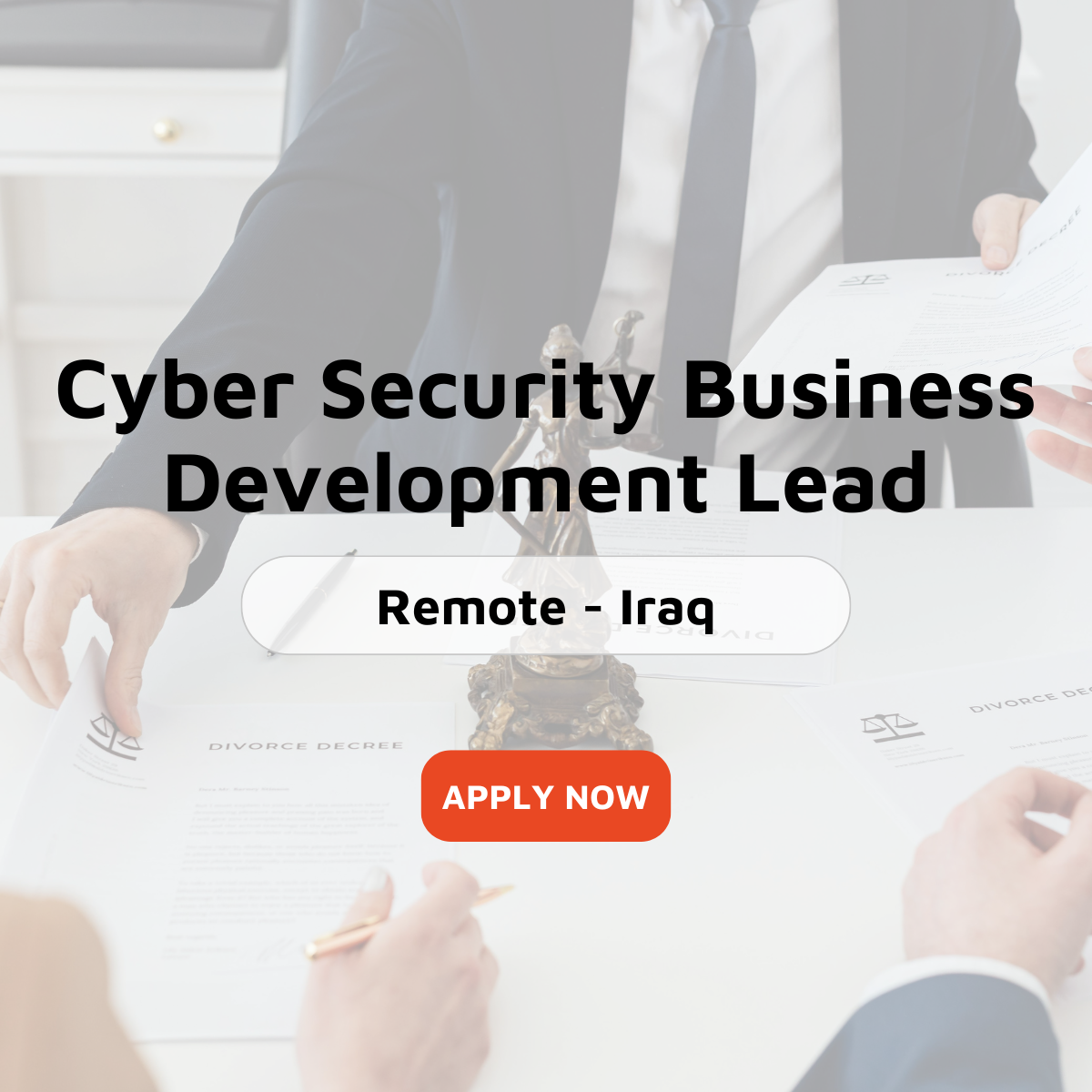 Cyber Security Business Development Lead